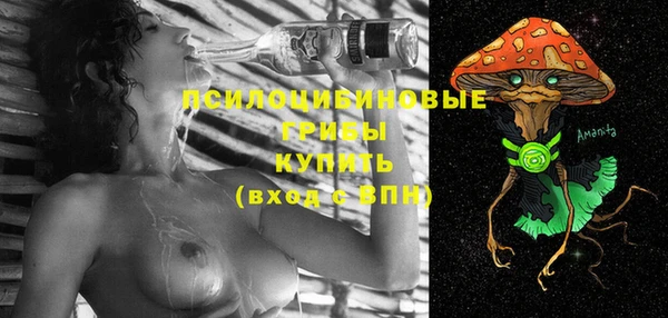 индика Елабуга
