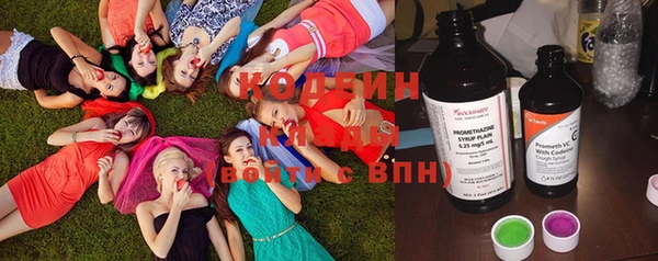 гидропоника Алзамай