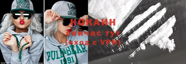 дмт Инта