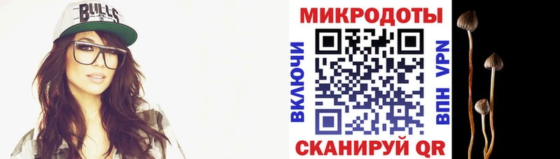 blacksprut ТОР  магазин  наркотиков  Завитинск  Псилоцибиновые грибы Psilocybine cubensis 